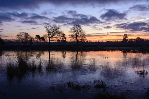 Sunrise and moving clouds reflecting in frozen pond, 4K UHD timelapse Video stock 87699668