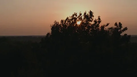 Sunrise and tree Stockbeeldmateriaal 76359582