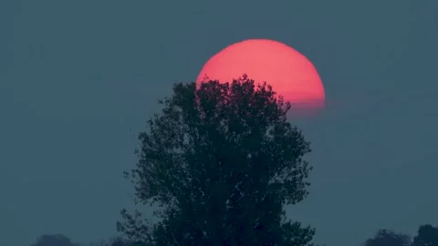 The Sunrise and The Tree Video stock 142404240