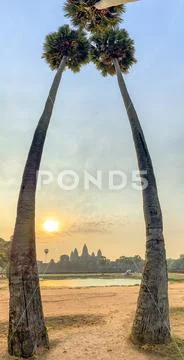 Sunrise in Angkor Wat framed in palm trees Stock Photos