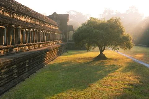Sunrise in Angkor Wat temple complex, tree in beautiful morning light Stock Photos
