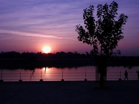 Sunrise @ apond Stock Photos