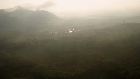 Sunrise arial view of mountain and oil palm plantation at Pagoh, Muar Stock Footage 115965732