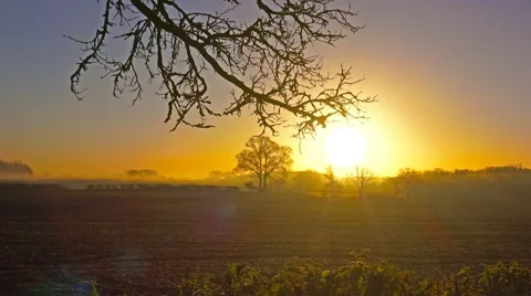Sunrise autumn English landscape Stock Footage