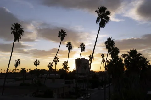 Sunrise with backlit palm trees.  Timelapse. Stock Footage 189893474