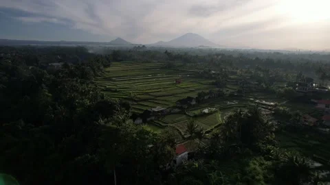Sunrise Bali field 動画素材 212926563