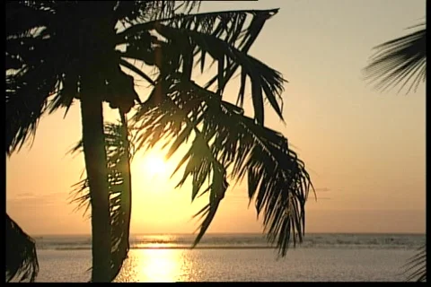 Sunrise on the beach 2 動画素材 67171