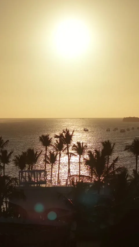 Sunrise Beach In Bavaro In Punta Cana Dominican Rep.. Video stock 325199454