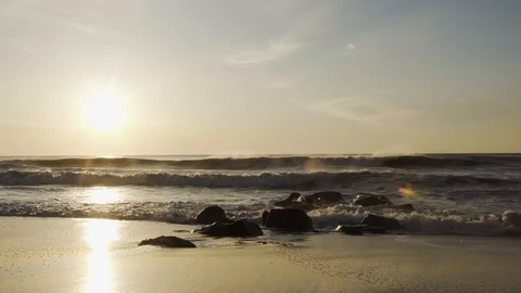 Sunrise beach with bird Stock Footage 99801175