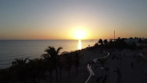 Sunrise at the beach with coconut palm tree at boardwalk in mexico 스톡 동영상 202312378