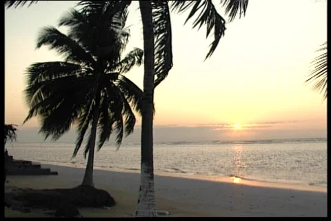 Sunrise on the beach 動画素材 67220