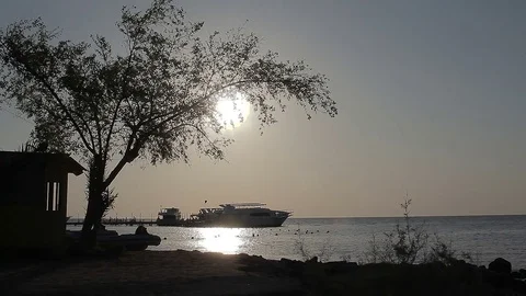 Sunrise on the beach. 動画素材 70754074