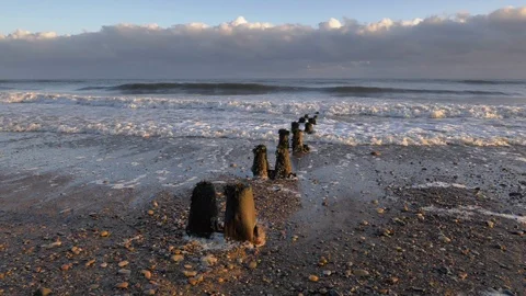 Sunrise on the beach Stock Footage 99099698