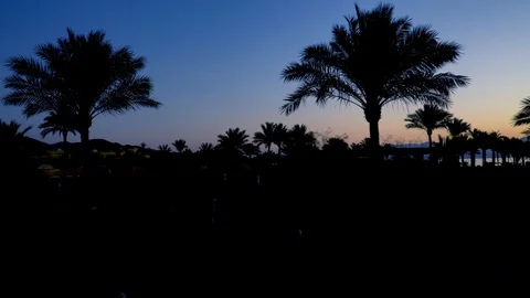 Sunrise beach Stock Footage 128387621