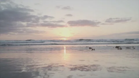 Sunrise at the Beach Stock Footage 137871024