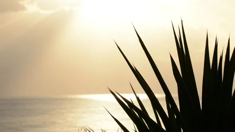 Sunrise at beach Stock Footage 152236351