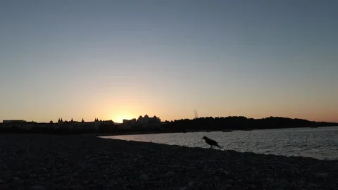 Sunrise at the beach Stock Footage 219543692