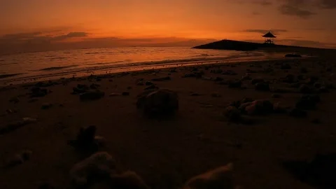 Sunrise on the beach Stock Footage 236181797