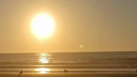Sunrise On The Beach Stock Footage 246592937