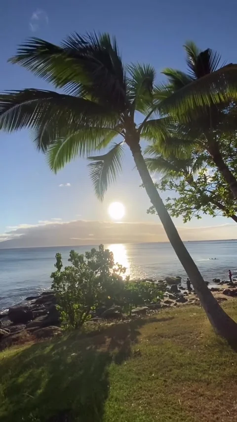 Sunrise on the beach 库存影片 328451946