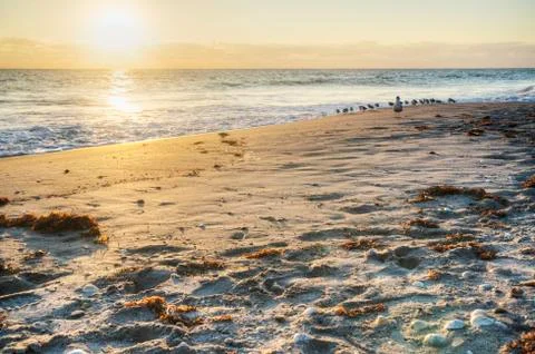 Sunrise on Beach 库存照片