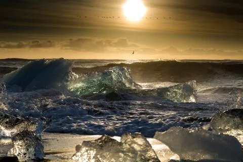 Sunrise at the beach Photos