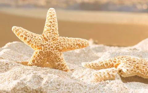Sunrise on the beach. Stock Photos