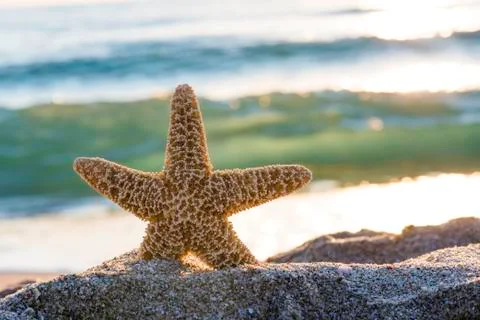 Sunrise on the beach. Foto stock