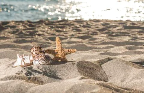 Sunrise on the beach. Stock Photos