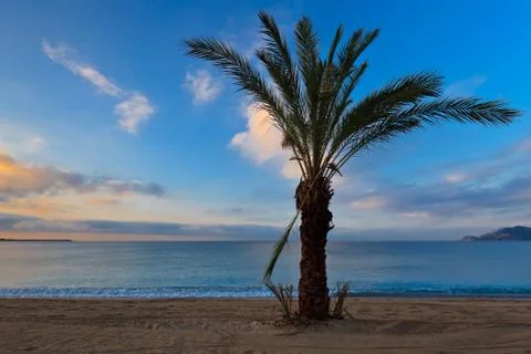 Sunrise on the beach Stock Photos