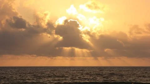 Sunrise on the beach.. Stock Photos