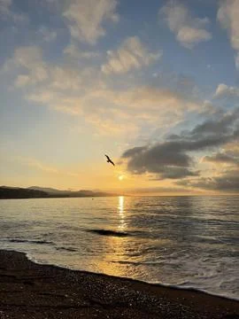 Sunrise on the beach Stock Photos