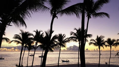 Sunrise beach at Punta Cana Stock Footage 124486637
