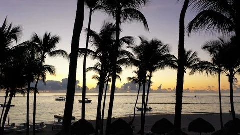 Sunrise beach at Punta Cana Stock Footage 124486705