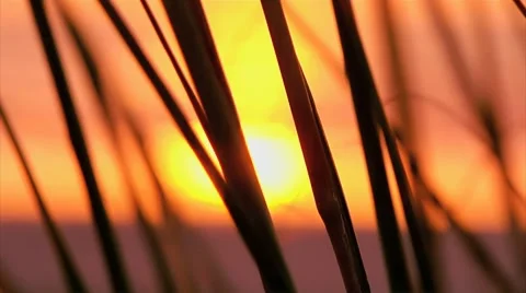 Sunrise Beach Rack-Focus Bicycle Stock Footage 7762812
