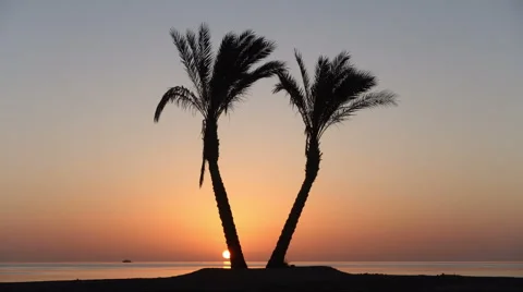 Sunrise on the beach. Resort. Background - Red Sea. Vidéo 64260960