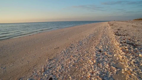SUNRISE ON BEACH, SHELLS IN FOREGROUND Stock Footage 72563507