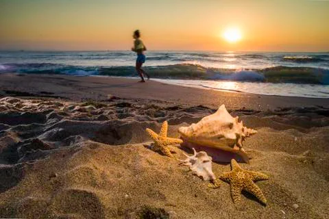 Sunrise on the beach. shells Stock Photos