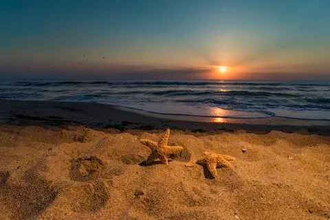 Sunrise on the beach. shells Stock Photos