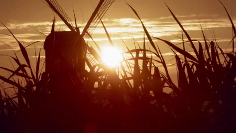 Sunrise behind a Dutch windmill 動画素材 144842818