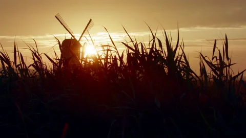 Sunrise behind a Dutch windmill 動画素材 144843445
