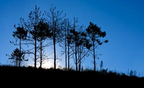 Sunrise behind mountain Stock Photos
