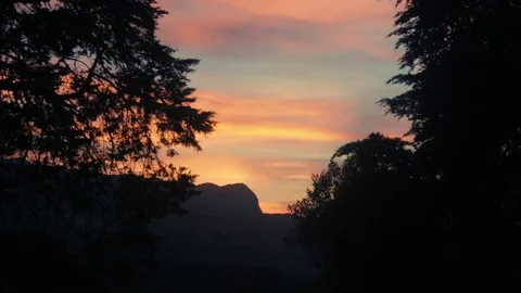 Sunrise behind pine trees Malawi mountains Stock Footage 74421372