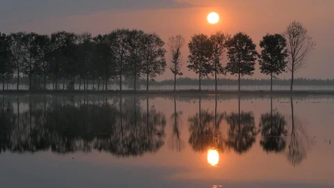 Sunrise behind rice fields and poplar trees in Piedmont, Italy Видео 89042667