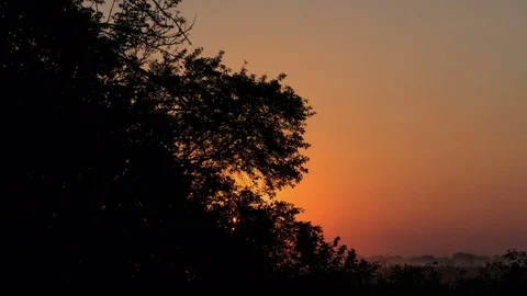 Sunrise behind the silhouette of the tree. Stock-Footage 76180510