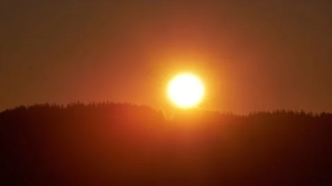 Sunrise from behind the spruce forest , Stock-Footage 169596810