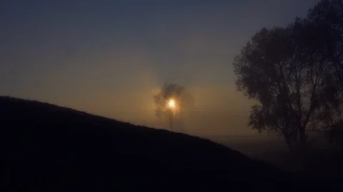 Sunrise Behind Tree 스톡 동영상 112547156