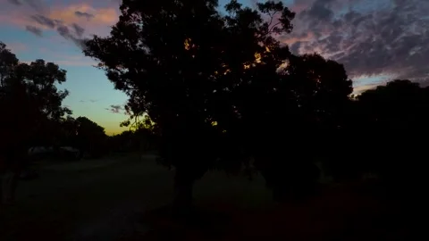 Sunrise behind a tree Vidéo 251985955