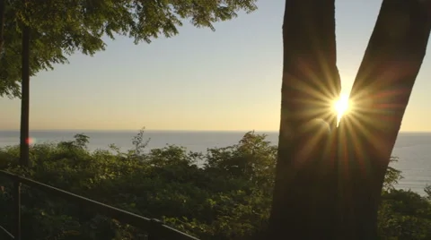 Sunrise behind Tree with Lens Flare Stock Footage 42901339