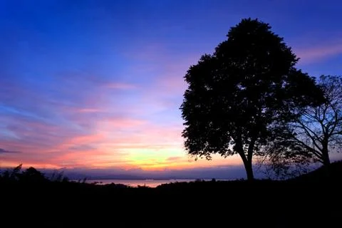 Sunrise behind tree Stock Photos